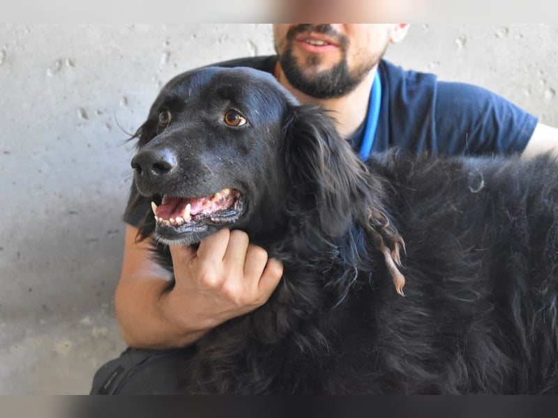 Kael - Nur ein einziges mal die Chance auf Leben