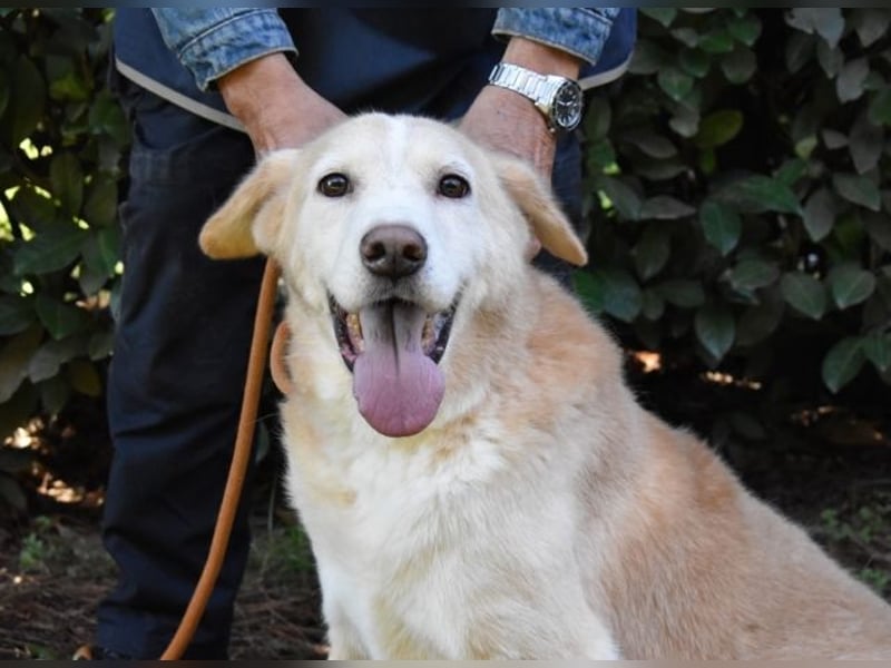 Islay - Menschenherzen-im-Sturm-Eroberer