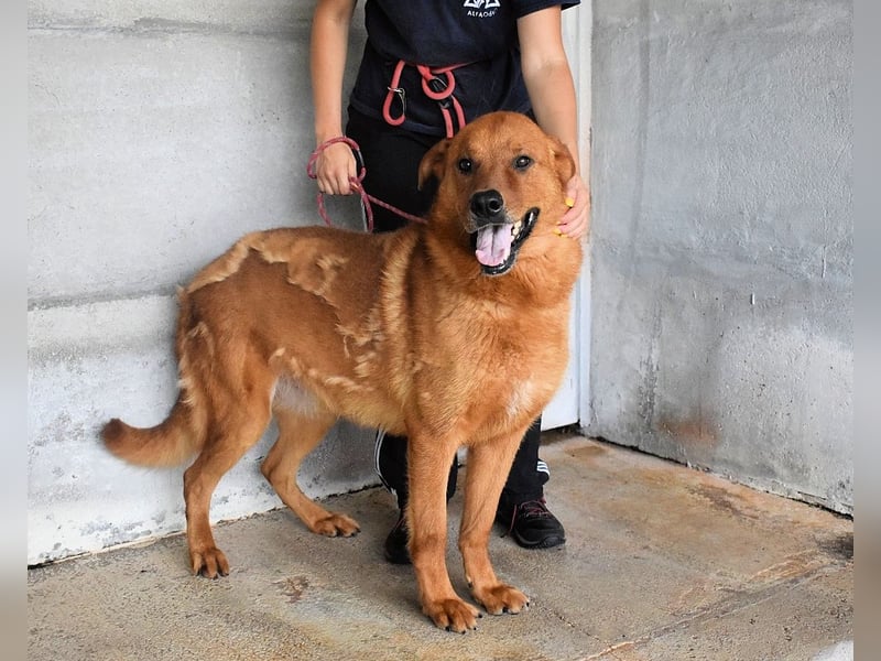 Antwin - irgendwo ist alles schön!