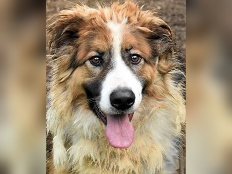 Kito - Irgendwas das bleibt