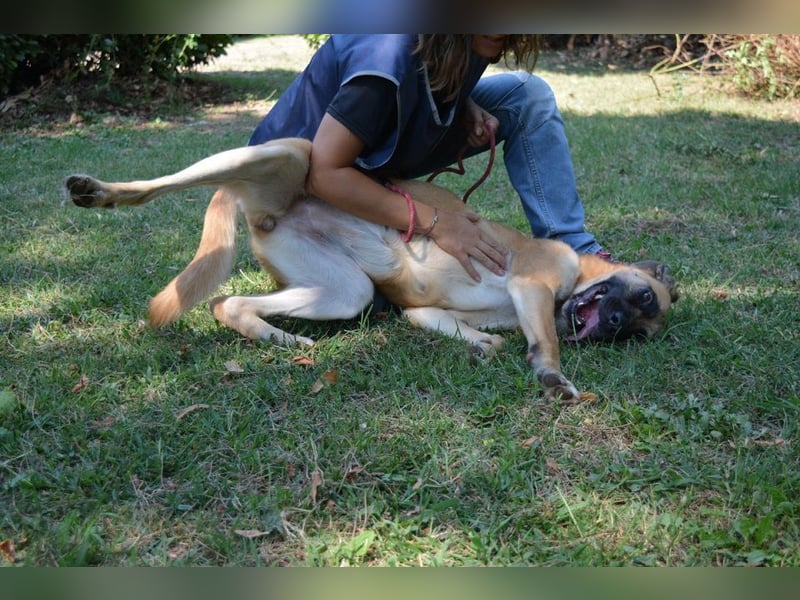 Adhara - Möchte ihre Energie versprühen