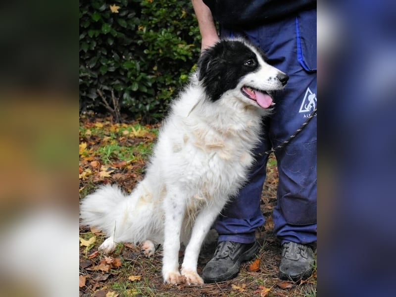 Rezart - Zusammen ist man weniger alleine