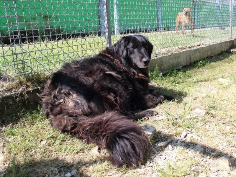 Quennel - Black velvet, oder...