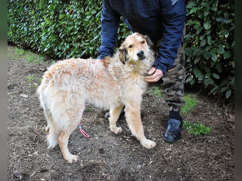 Ligorio - Zwölf, elf, zehn ... eins - Ligorio