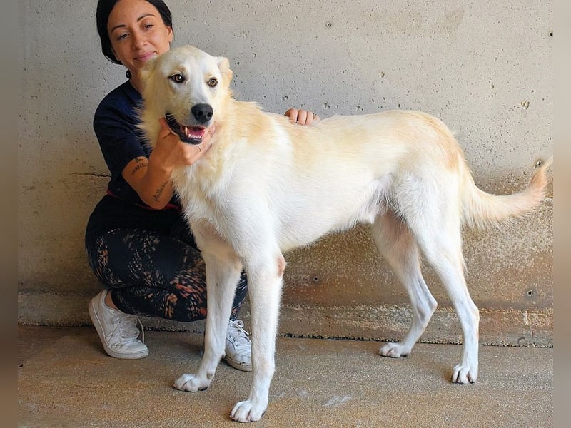 Rurik - Das geheime Feuerwerk