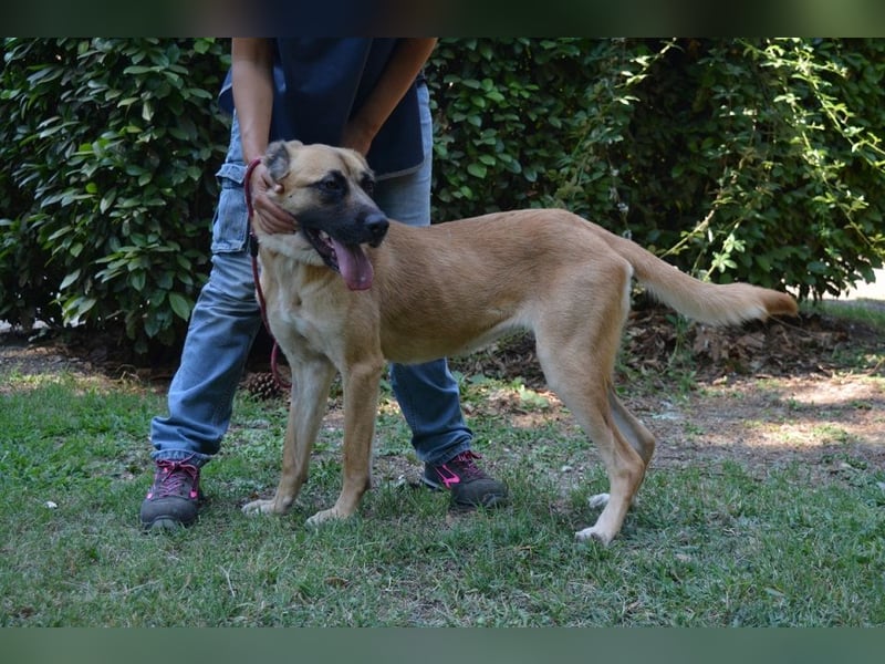 Adhara - Möchte ihre Energie versprühen