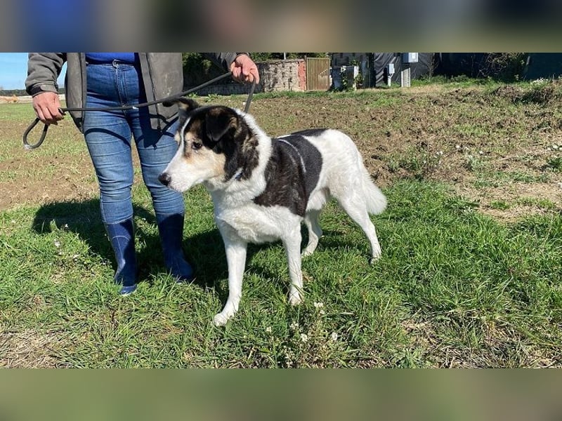 Giangy - Ich hätte da noch Kapazitäten frei