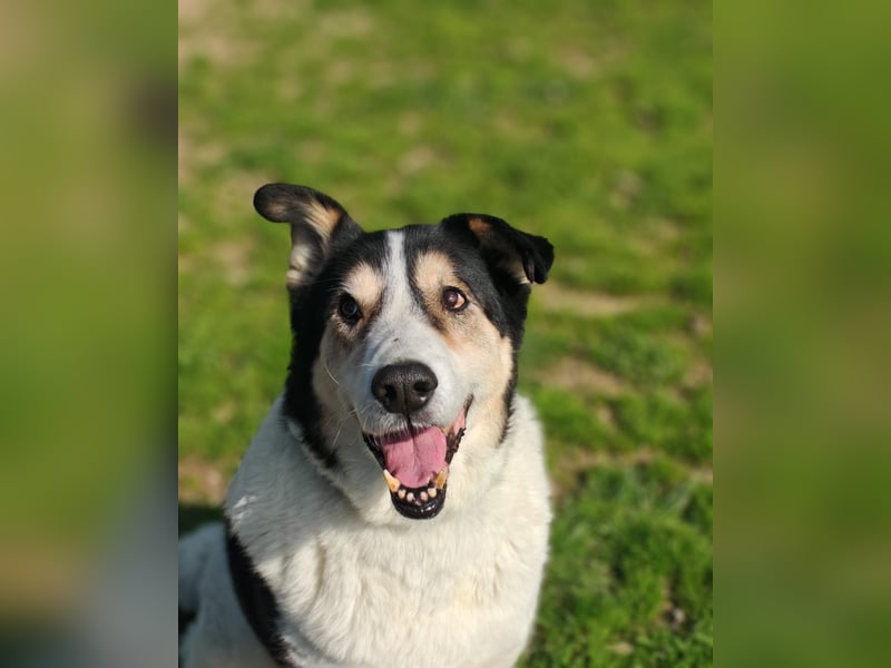 Giangy - Ich hätte da noch Kapazitäten frei