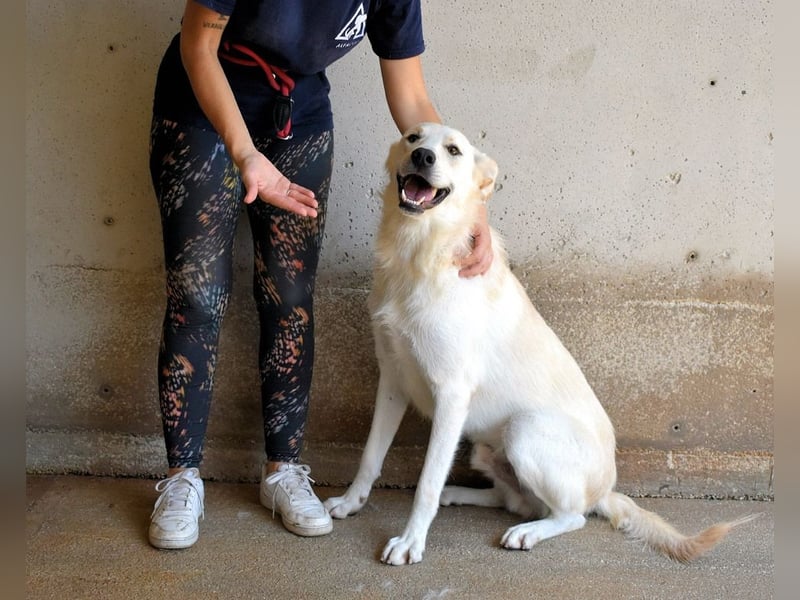 Rurik - Das geheime Feuerwerk