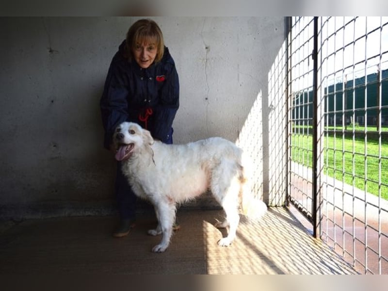 Gualter - und der staubige, unsichtbare Koffer