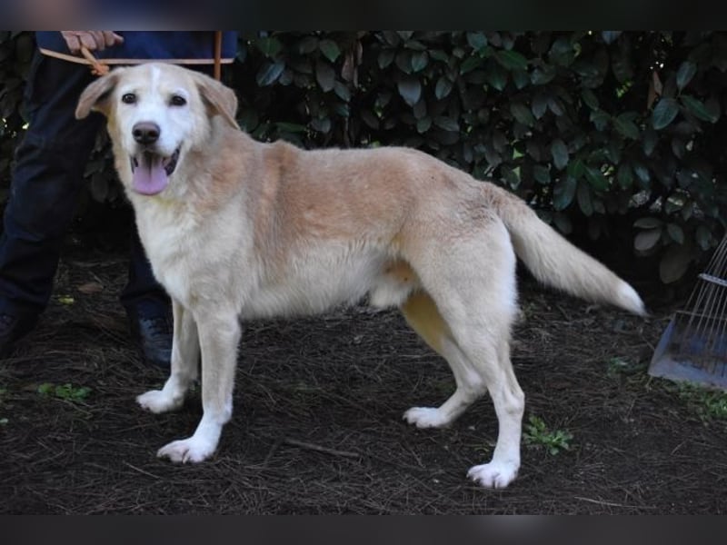 Islay - Menschenherzen-im-Sturm-Eroberer