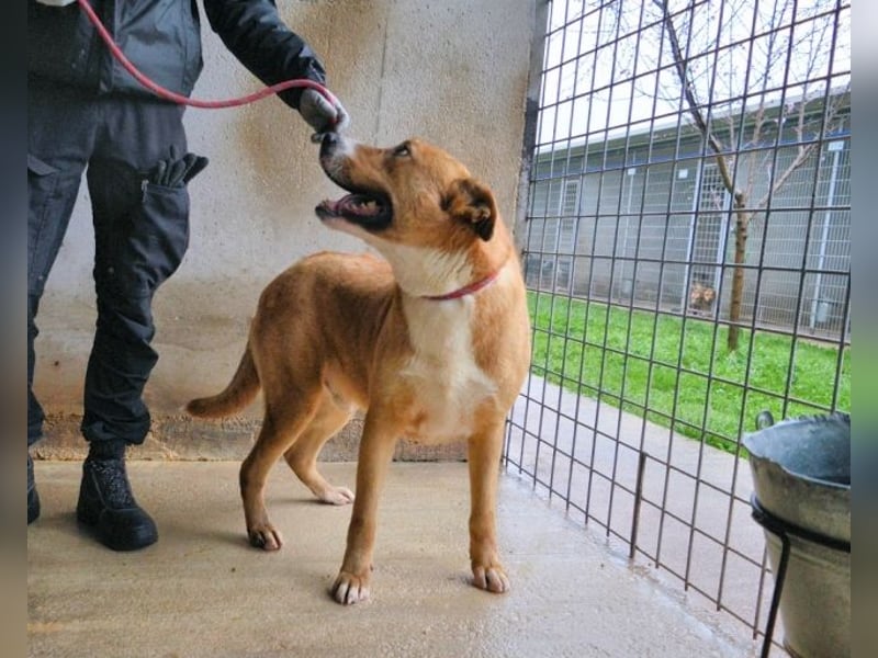 Spielberg - Der Dreh seines Lebens Spielberg - Der Dreh seines Lebens