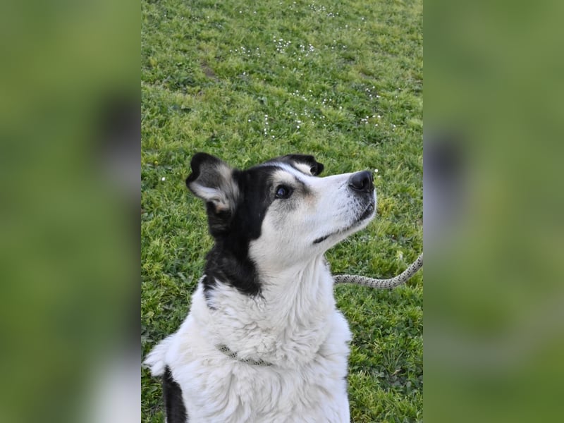 Giangy - Ich hätte da noch Kapazitäten frei