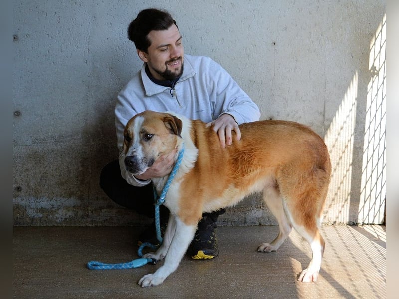 Scotlee - Drei Leben. Drei Chancen.