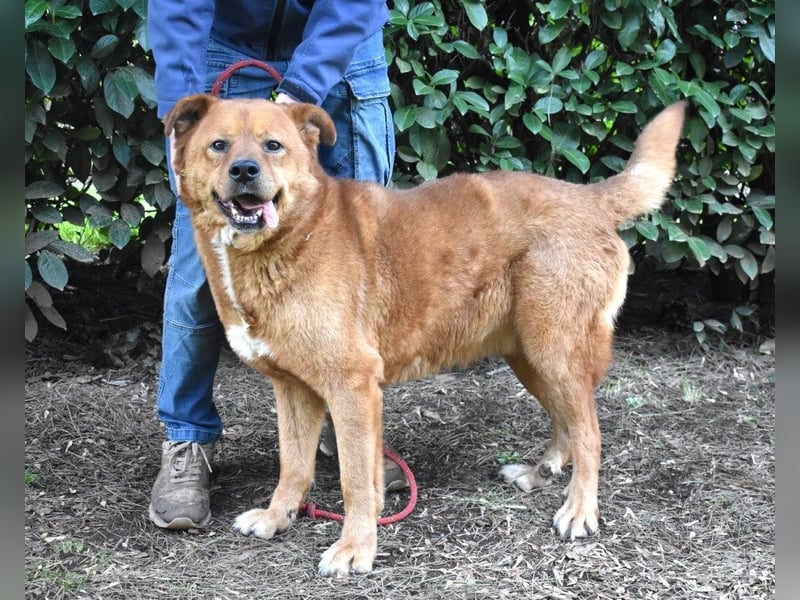 Vivaldo - ...steht vor der falschen Tür