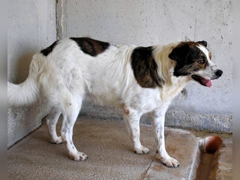 Jontar - Die Geschichte, die keiner liest