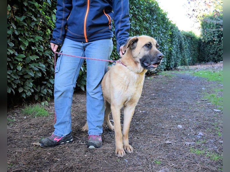 Adhara - Möchte ihre Energie versprühen