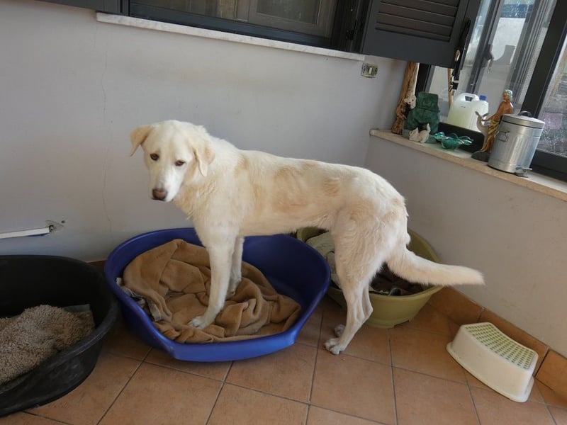 Clara - Wenn du es uns doch erzählen könntest