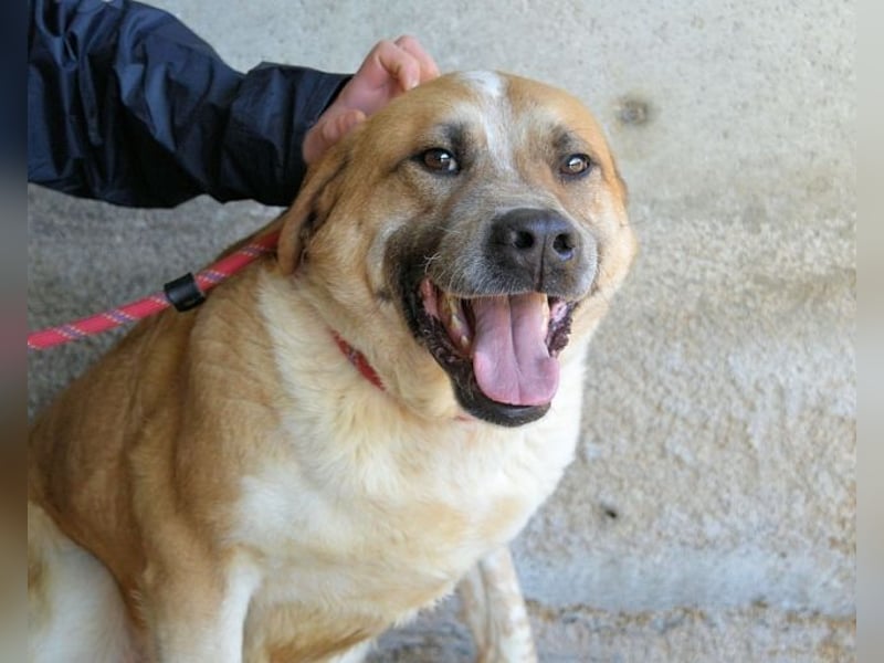 Savery - Drei Leben. Drei Chancen.