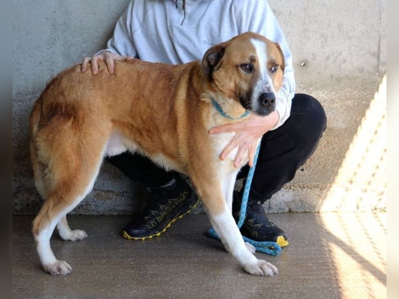 Scotlee - Drei Leben. Drei Chancen.