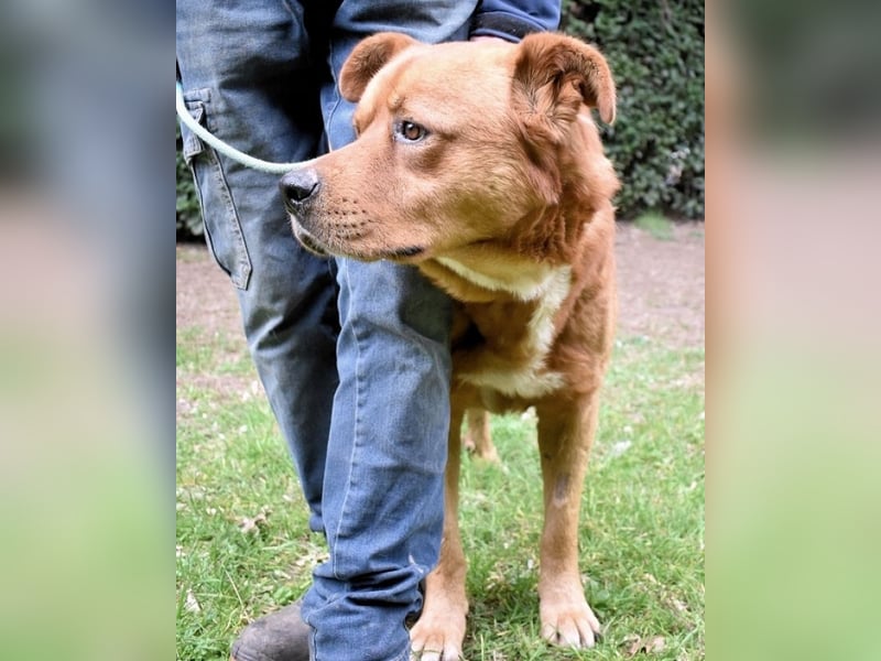 Vivaldo - ...steht vor der falschen Tür