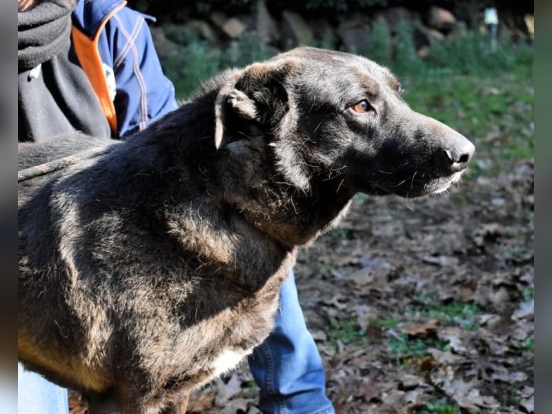 Godfried - When the night has come