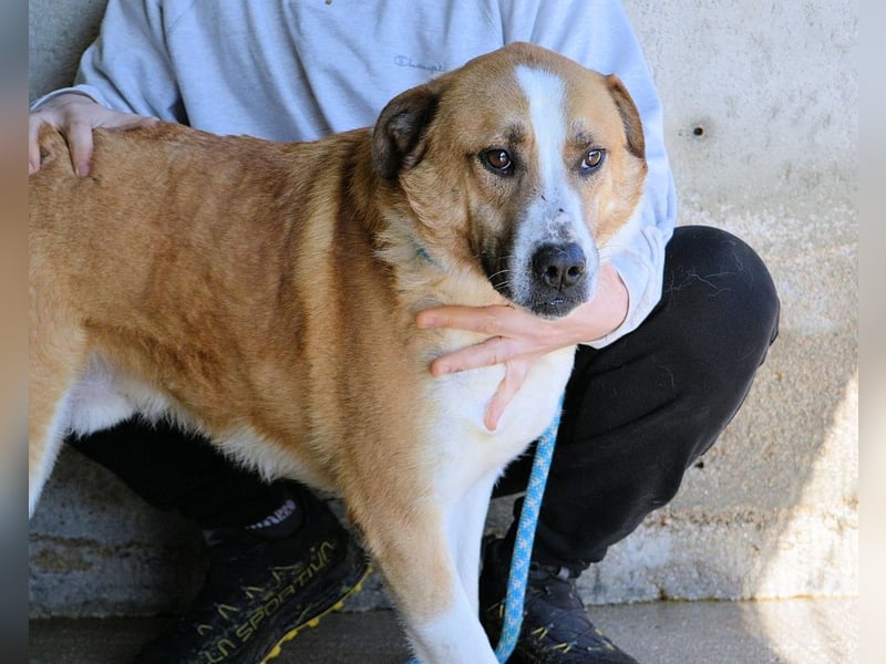 Scotlee - Drei Leben. Drei Chancen.