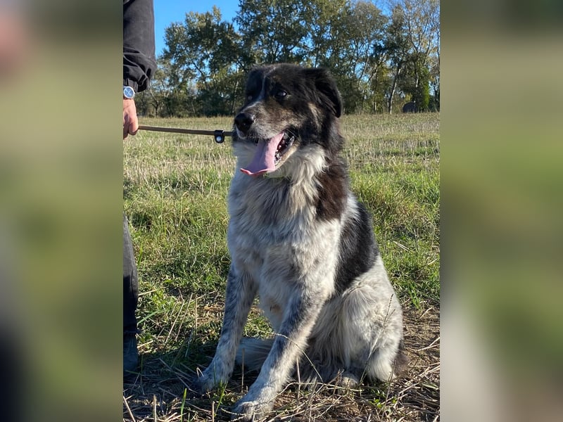 Ray - Zeig mir die Welt außerhalb des Zwingers...