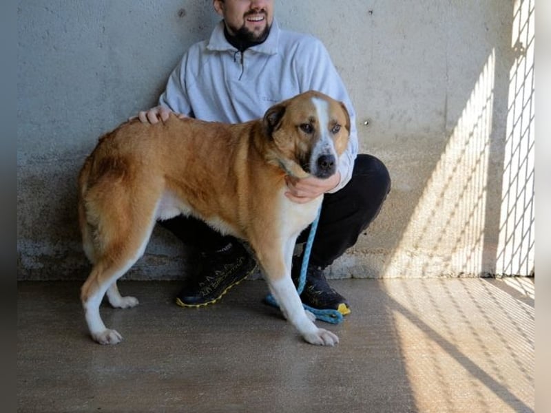 Scotlee - Drei Leben. Drei Chancen.