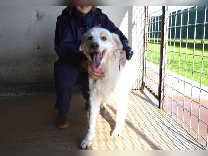Gualter - und der staubige, unsichtbare Koffer