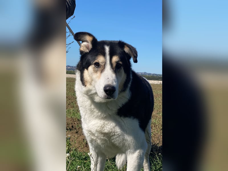 Giangy - Ich hätte da noch Kapazitäten frei