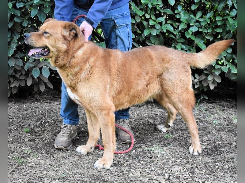 Vivaldo - ...steht vor der falschen Tür