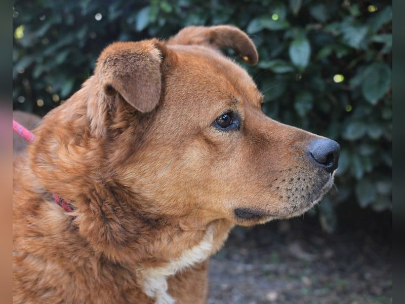 Vivaldo - ...steht vor der falschen Tür