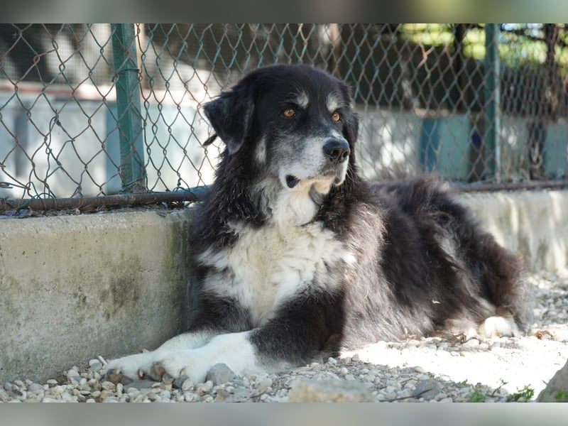 Kuno - Ein Ende in Sicht?