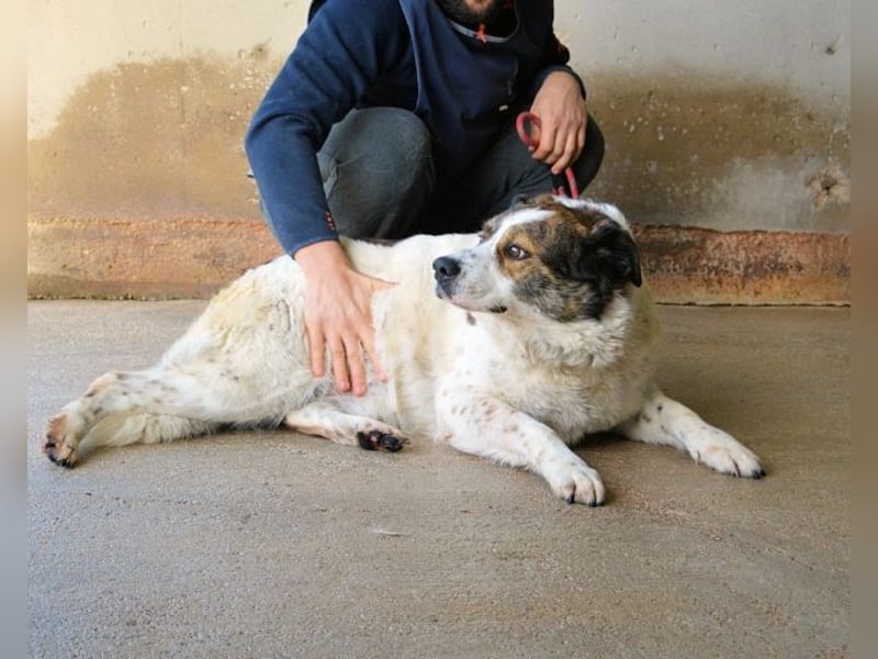 Jontar - Die Geschichte, die keiner liest
