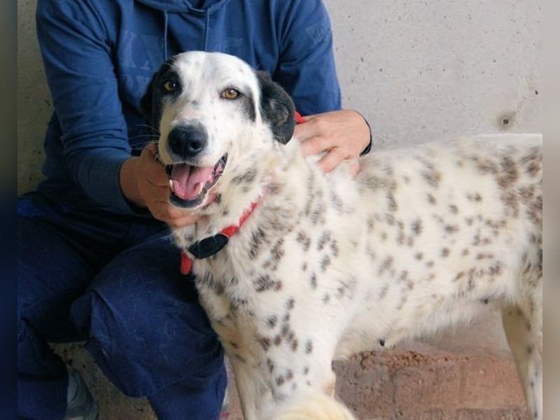 Arleene - Fachkraft für Betonpädagogik