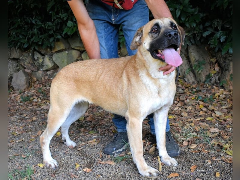 Joonas - wohin führt sein Weg?