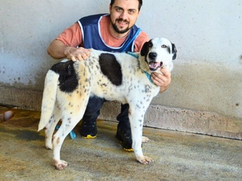 Arleene - ist voll bedingungsloser Liebe