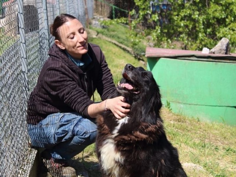 Quennel - Black velvet, oder...