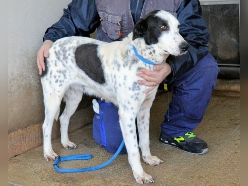 Arleene - ist voll bedingungsloser Liebe