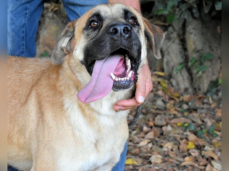 Joonas - wohin führt sein Weg?