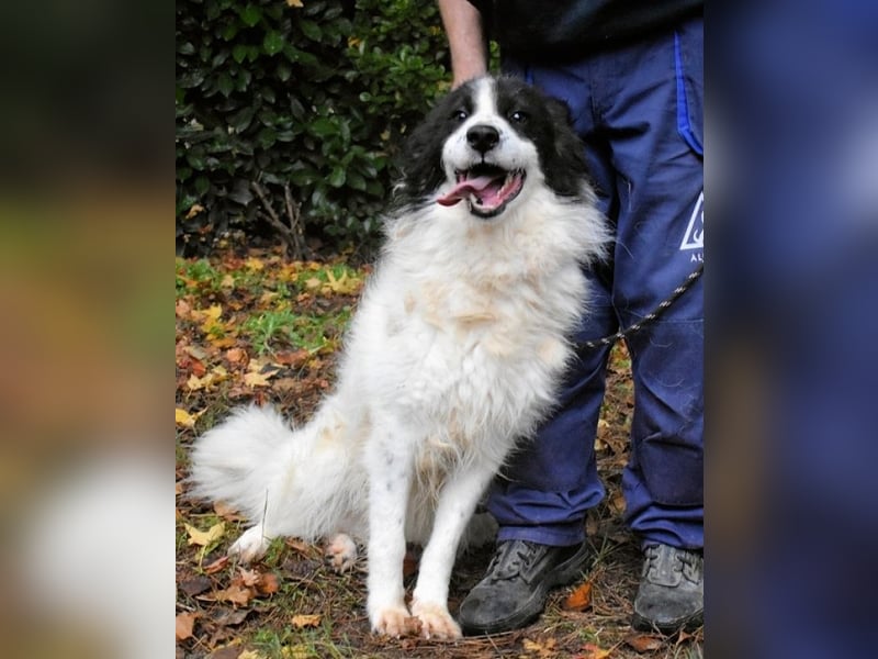 Rezart - Zusammen ist man weniger alleine