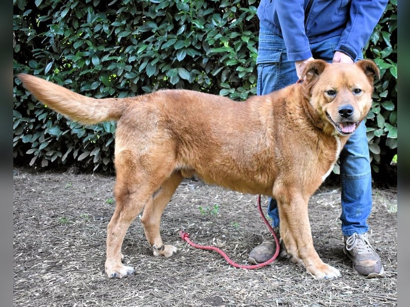 Vivaldo - ...steht vor der falschen Tür