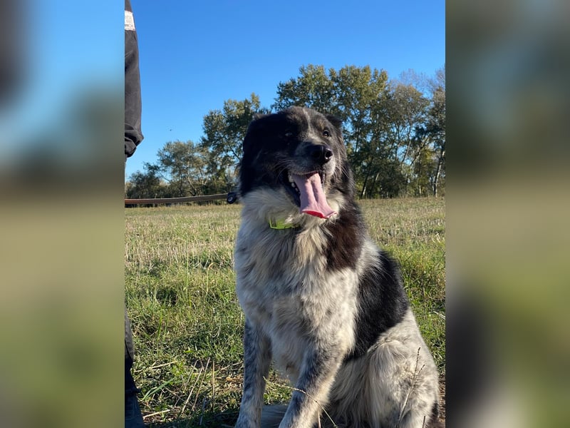 Ray - Zeig mir die Welt außerhalb des Zwingers...