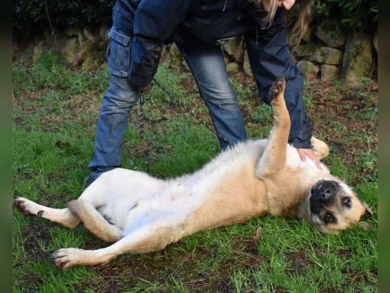 Joonas - wohin führt sein Weg?