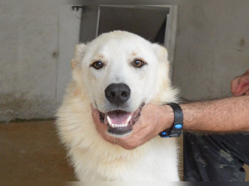 Rurik - Das geheime Feuerwerk