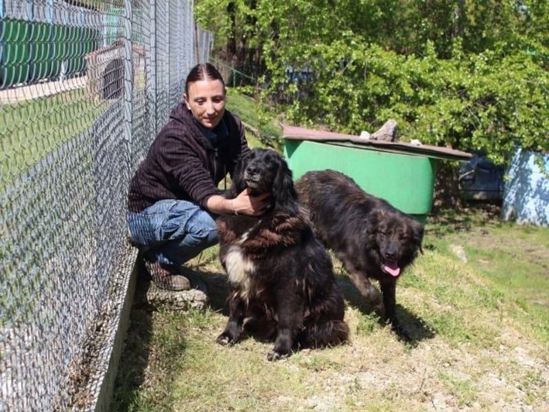 Quennel - Black velvet, oder...