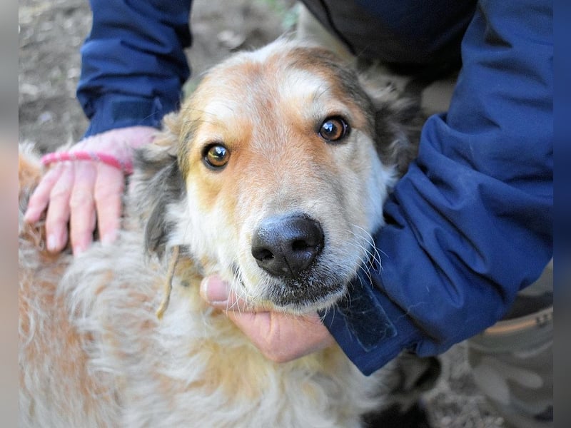 Ligorio - Zwölf, elf, zehn ... eins - Ligorio