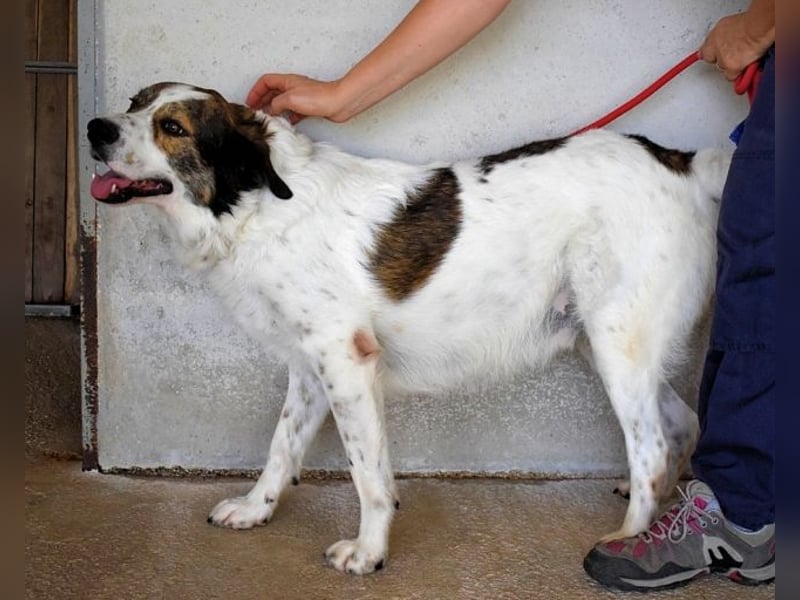 Jontar - Die Geschichte, die keiner liest