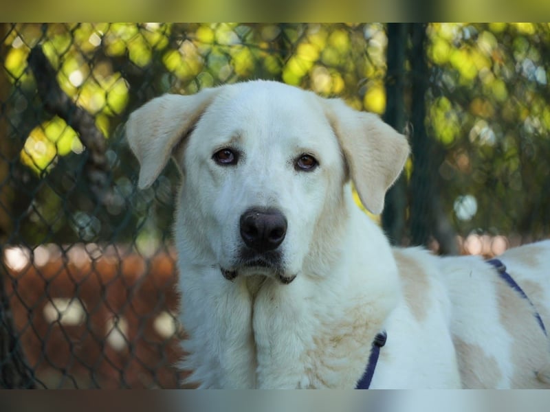 Clara - Wenn du es uns doch erzählen könntest